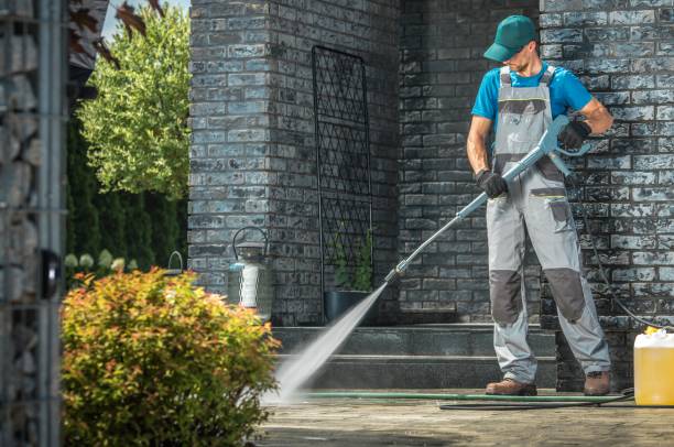Best Solar Panel Cleaning  in White City, FL